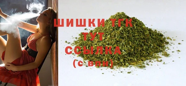 прущие грибы Сафоново