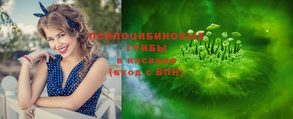 прущие грибы Сафоново