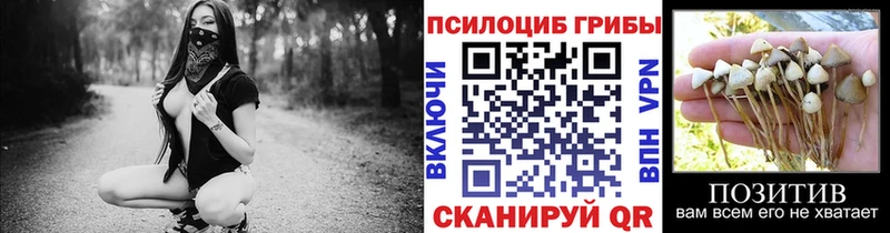 Купить закладки  Ивангород  Галлюциногенные грибы ЛСД 
